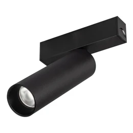 Фото #1 товара Светильник MAG-SPOT-25-R120-12W Day4000 (BK, 30 deg, 24V) (Arlight, IP20 Металл, 5 лет)