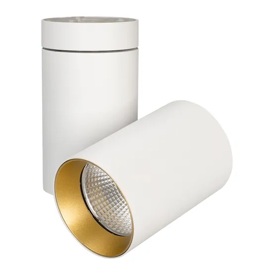 Фото #1 товара Светильник SP-POLO-SURFACE-TURN-R85-15W White5000 (WH-GD, 40 deg) (Arlight, IP20 Металл, 3 года)