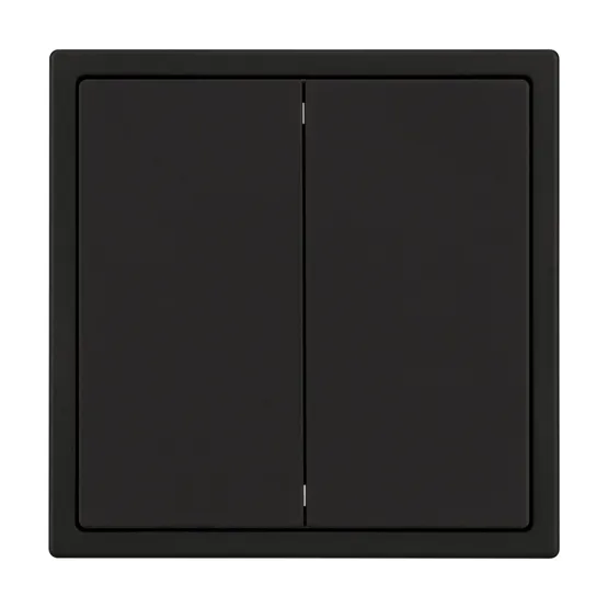 Фото товара Механизм звонкового выключателя двухклавишный SWT-NOBE-MKR2-SFPL-BK (230V, 10A) (Arlight, Черный оникс)