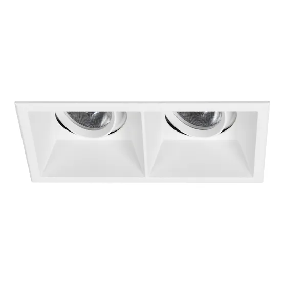 Фото #1 товара Светильник MS-FLOW-BUILT-S157x85-2x12W Warm3000 (WH, 38 deg, 230V) (Arlight, IP20 Металл, 5 лет)