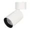 Минифото #1 товара Светильник SP-POLO-SURFACE-FLAP-R85-15W Day4000 (WH-BK, 40 deg) (Arlight, IP20 Металл, 3 года)