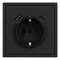 Минифото #4 товара Механизм розетки с USB зарядкой SCT-NOBE-MUAC-SFPL-BK (230V, 16A) (Arlight, Черный оникс)