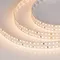 Минифото #1 товара Светодиодная лента S2-A280-20mm 24V Day3500 (20 W/m, IP20, 2835, 2.5m) (Arlight, 20 Вт/м, IP20)