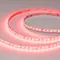 Минифото #3 товара Светодиодная лента RT-A168-10mm 24V RGBW-Warm (20 W/m, IP20, 5m) (Arlight, высок.эфф.150 лм/Вт)